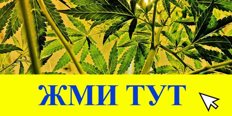 Купить наркотики в Муравленко